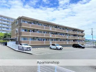 太陽の丘の画像