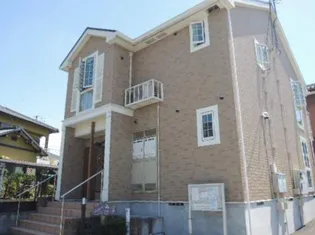 プレコリーヌVIIの画像