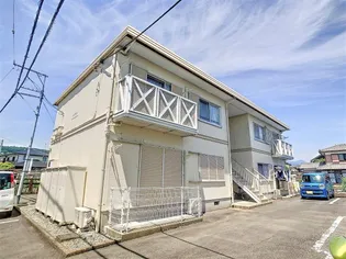 PETER RABIT PLAZA Mの画像