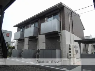 プチマーガレットの画像