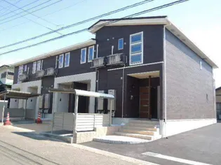 ペンタスの画像