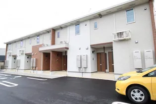 ルピナスの画像