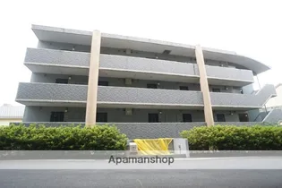 ウインディ レイの画像