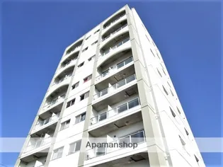 アルコ10の画像