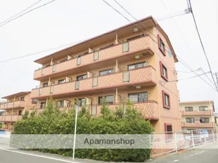 ブルー シエルの画像