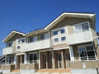 プラシードの画像