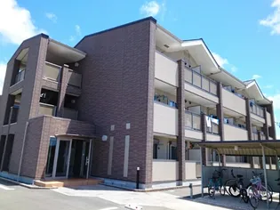 プラシードAの画像