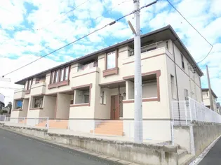 コッティMの画像