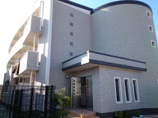 プラシードⅡの画像