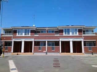 プリムローズの画像