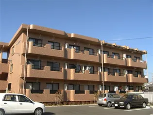 メゾンシンシア【1階】の外観