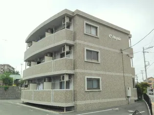 LA MERVEILLEの画像