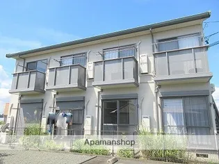 プリムローズAの画像