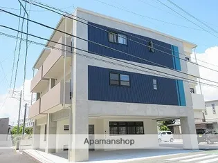 クランベリーの画像