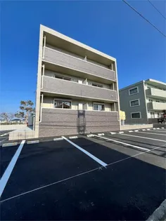 カリスリーブラの画像