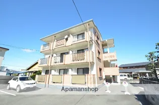 シーガルの画像