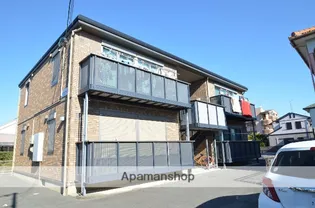 エヴァーグリーンの画像