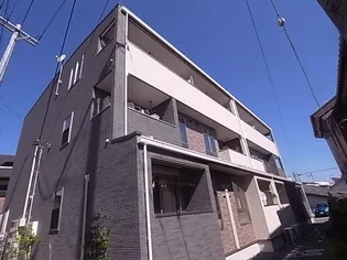 マイズの画像