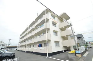 ロイヤルマルトウIIの画像