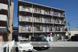 YKバンブーIIの画像