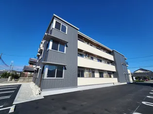 コスモの画像