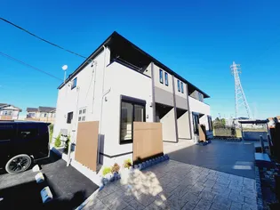 フェリスⅡの画像