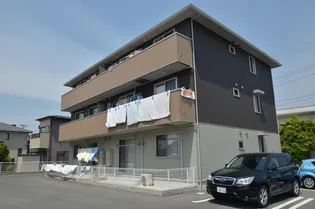 ポポラーレの画像