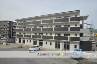 PALM TREE IIの画像