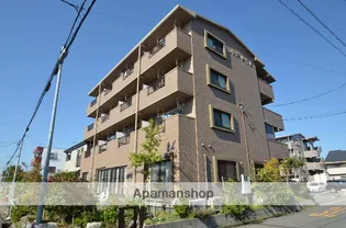 バンブーリーヴスIIIの画像