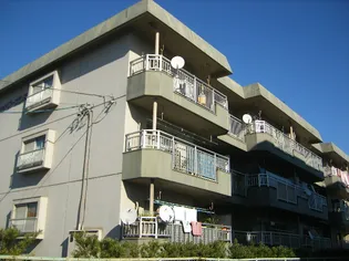 ローザンヌⅥの画像