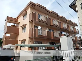 キャッスル若美【3階】の外観