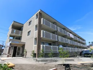 エレガントストークの画像