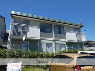 エバーグリーンの画像