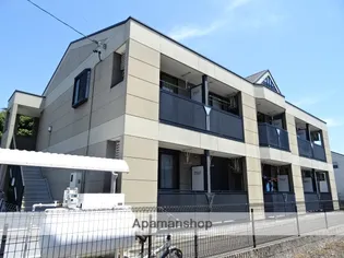 シャルムKの画像