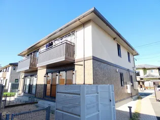 トータスBの画像