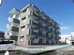 リベルテイシダの画像