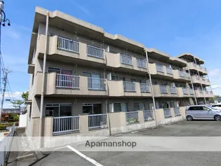 エクセーラの画像