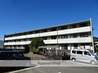 パッシオーネの画像