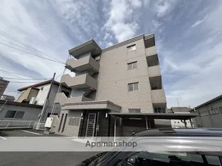 FELICE GATTO WADAの画像