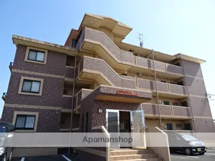 エクセランの画像