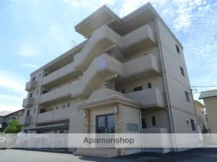 FELICE GATTO YOKOSUKAの画像