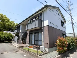 アーリーバードAの画像