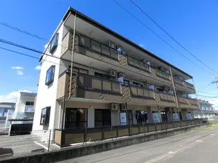 LIMPIA垂木の画像