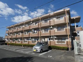 プランタンⅢの画像