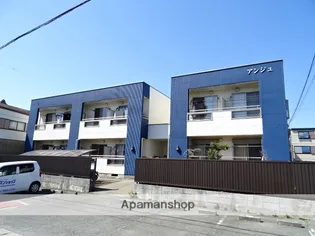 アンジュの画像