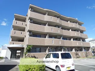 グランストーク初生の画像