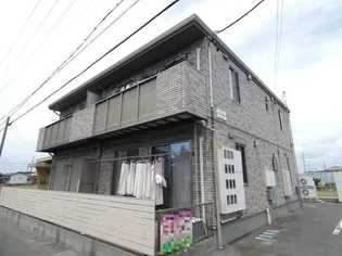 シルキーウィングの画像