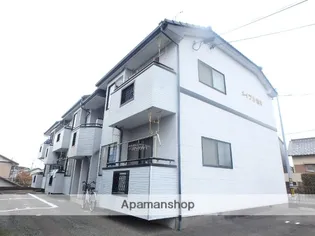 メイプル岩井の画像