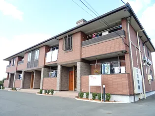 メゾン ド 松【2階】の外観