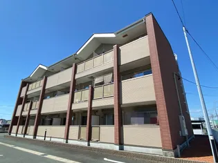 プラシードBの画像